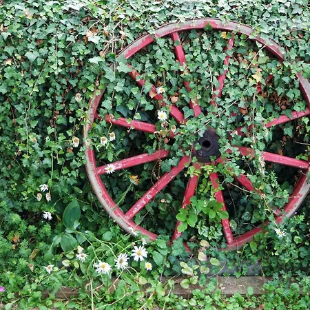 Prázdninový dům 3 Bedroom Awesome In *